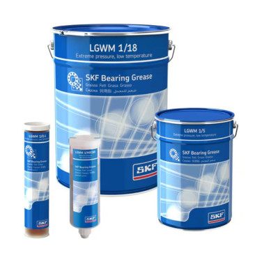 Graisse SKF LGWM 1