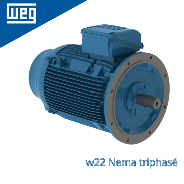 Moteur électrique W22 - Fonte TEFC Nema triphasé