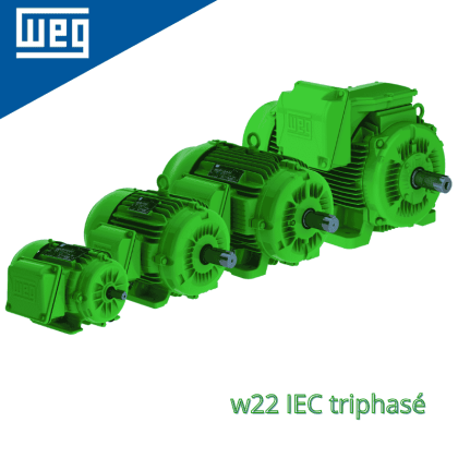 Moteur électrique W22 - Fonte TEFC