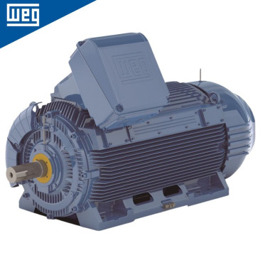 Moteur électrique W51 HD