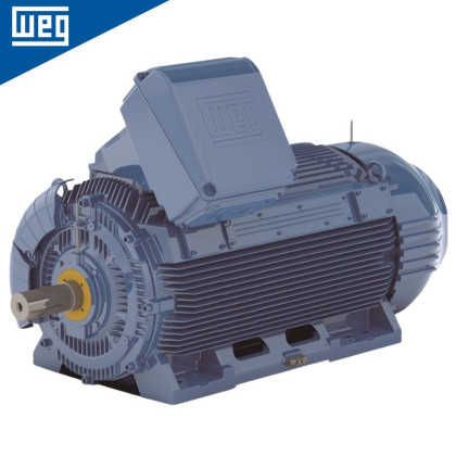 Moteur electrique W51HD WEG