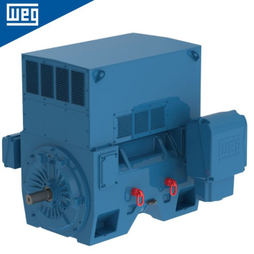 Moteur électrique W60 WEG
