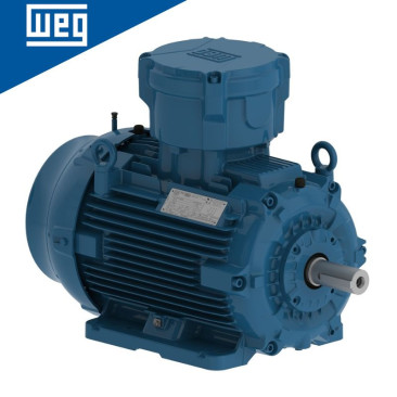 Moteurs électriques W22Xdb