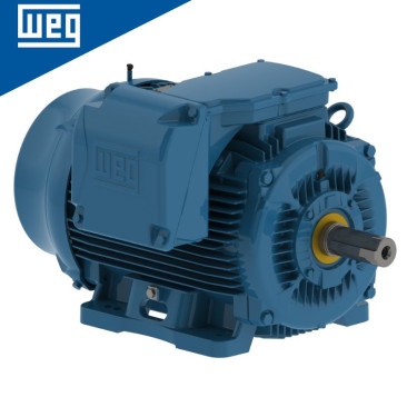 W22 IEEE 841- Moteur en fonte