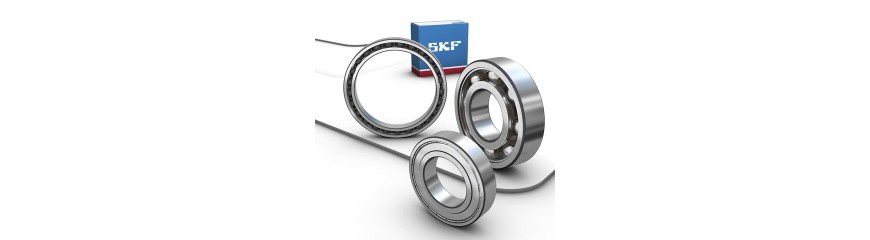 Roulement à billes - Tous nos modèles de roulements SKF