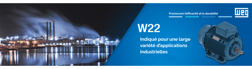 Moteurs électriques NEMA triphasés pour applications industrielles
